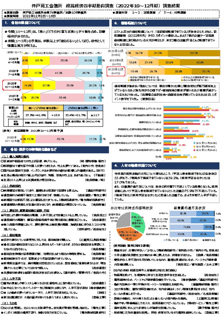 2210-12_経営経済四半期動向調査結果（概要)のサムネイル