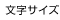 文字のサイズ